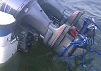 RGES entangled in an outboard propeller